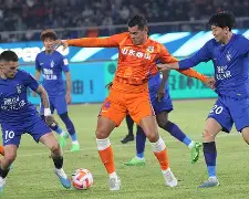 转会期体能课后，山东泰山扳平良机备战欧篮联，气氛紧张，球探报告显示潜力的简单介绍-问鼎体育